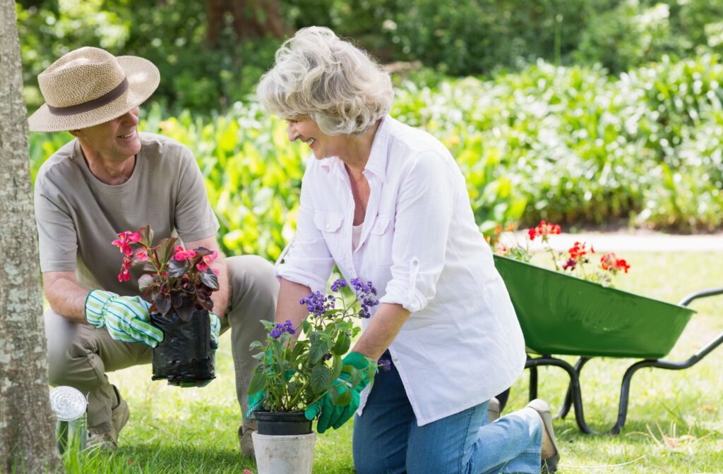 An older man and woman smiling and gardening outdoors together